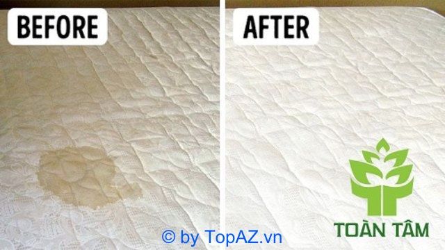 Toàn Tâm cung cấp dịch vụ giặt nệm chuẩn Châu Âu, đảm bảo chất lượng vượt trội và mang lại sự hài lòng tuyệt đối cho khách hàng.