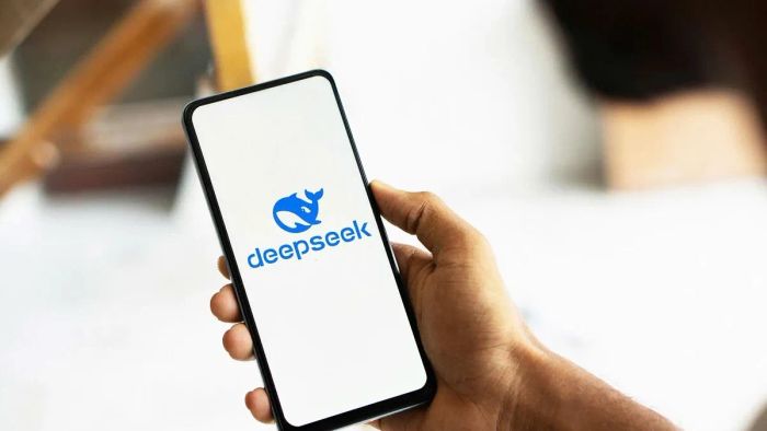 Tổng quan về các gói dịch vụ và mức giá của DeepSeek