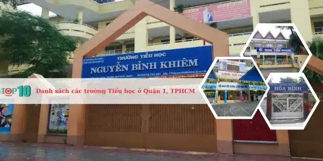 Danh sách đầy đủ các trường Tiểu học chất lượng cao ở Quận 1, TP.HCM
