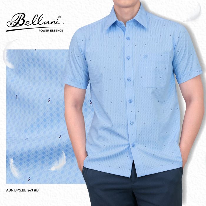 Belluni ảnh 1