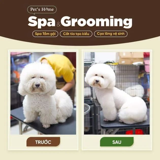 Pet's Home - Spa Thú Cưng Cao Cấp