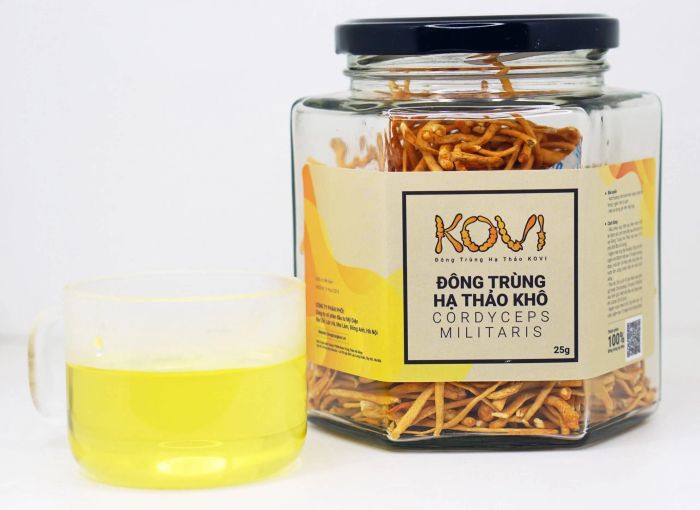 Hình ảnh đông trùng hạ thảo Kovi cao cấp