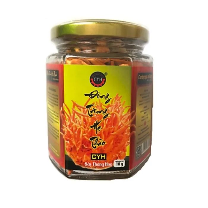 Hình ảnh đông trùng hạ thảo CYH cao cấp