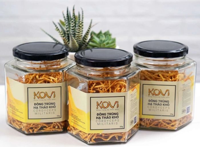 Hình ảnh đông trùng hạ thảo Kovi cao cấp