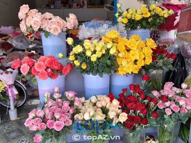 Địa chỉ vàng: Shop hoa tươi Thu Hiền tại Dĩ An, Bình Dương