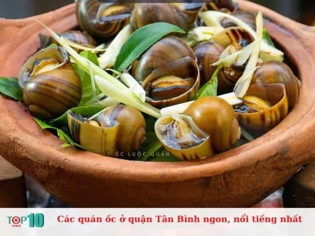 Danh sách các quán ốc nổi tiếng và ngon nhất tại quận Tân Bình
