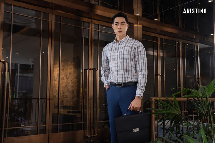 Hình ảnh thứ hai của thương hiệu Aristino