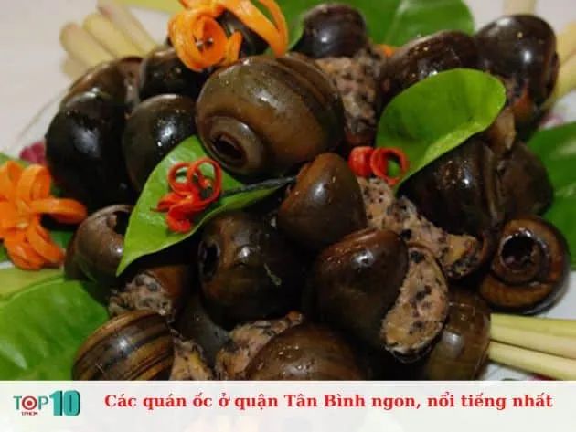 Danh sách các quán ốc nổi tiếng và ngon nhất tại quận Tân Bình