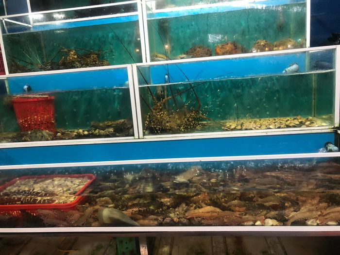 Nhà hàng Cánh Buồm Trắng ảnh 3 - Góc chụp nghệ thuật về những món hải sản tươi sống được chế biến tinh tế, đẹp mắt