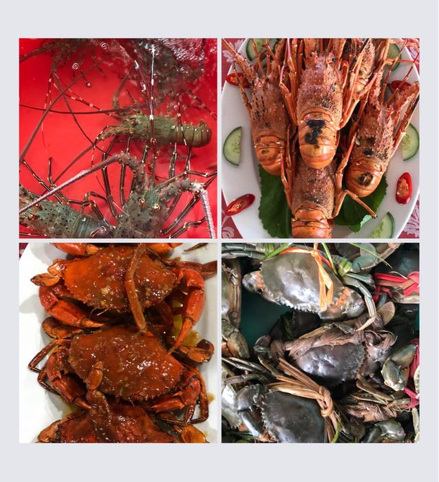SEN Restaurant Beach Hội An ảnh 3 - Khoảnh khắc ấn tượng ghi lại không gian tiệc buffet sang trọng với hơn 200 món ăn đa dạng
