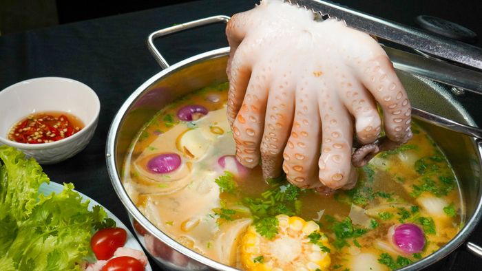 Bạch tuộc tươi sống nguyên con chất lượng cao - hình ảnh 3