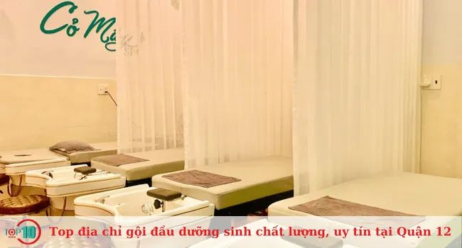 Top những địa chỉ gội đầu dưỡng sinh uy tín và chất lượng tại Quận 12