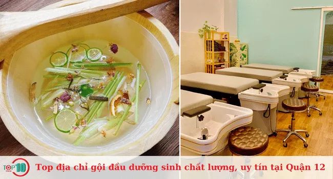 TOP các địa chỉ gội đầu dưỡng sinh uy tín và chất lượng tại Quận 12