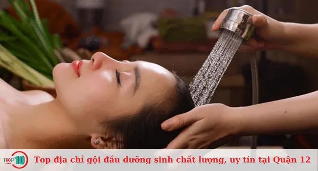 Khám phá những địa chỉ gội đầu dưỡng sinh hàng đầu tại Quận 12, cam kết mang lại trải nghiệm thư giãn và chất lượng tuyệt vời.