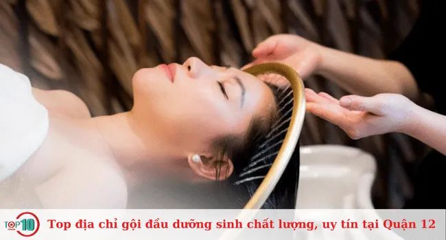 Top 10 địa chỉ gội đầu dưỡng sinh uy tín và chất lượng tại Quận 12.