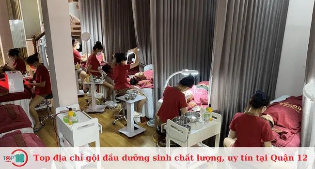 Top 10 địa chỉ gội đầu dưỡng sinh uy tín và chất lượng tại Quận 12.