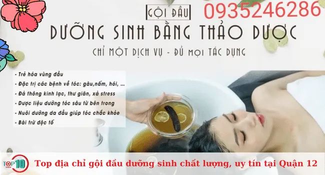 Top 10 địa chỉ gội đầu dưỡng sinh uy tín và chất lượng tại Quận 12.