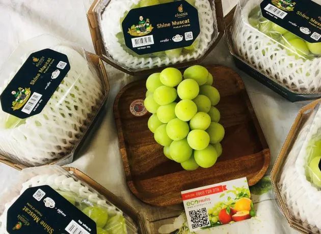 Eco Fruits - Thiên đường trái cây sạch và nhập khẩu tại Quận 7
