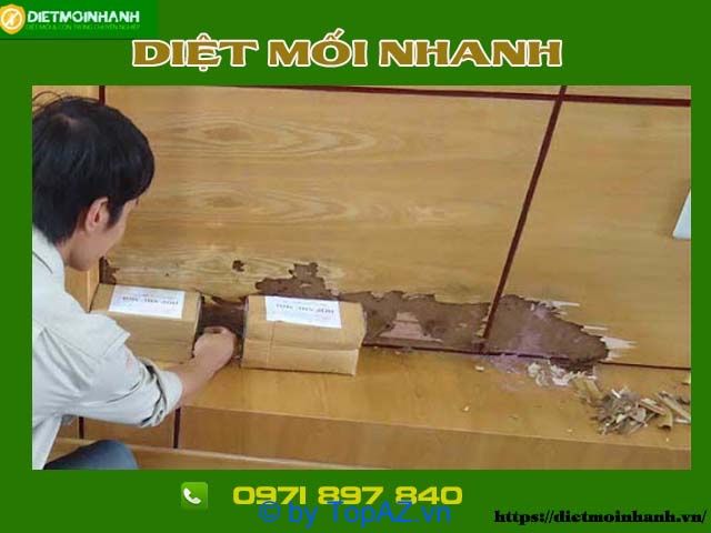 Dịch vụ diệt mối tận gốc tại Gò Vấp - Cam kết hiệu quả 100%