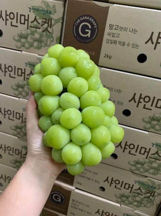 Điểm đến lý tưởng cho trái cây sạch và nhập khẩu chất lượng tại Quận 8