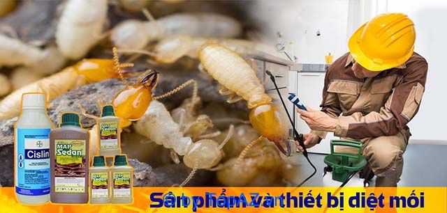 Dịch vụ diệt mối chuyên nghiệp tại Gò Vấp - Cam kết chất lượng vượt trội