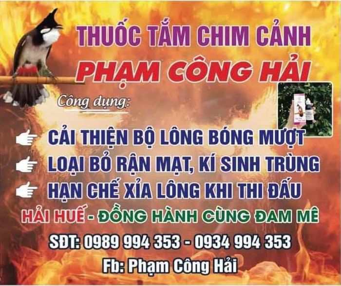 Thuốc Tắm Chim Cảnh Phạm Công Hải hình ảnh 1