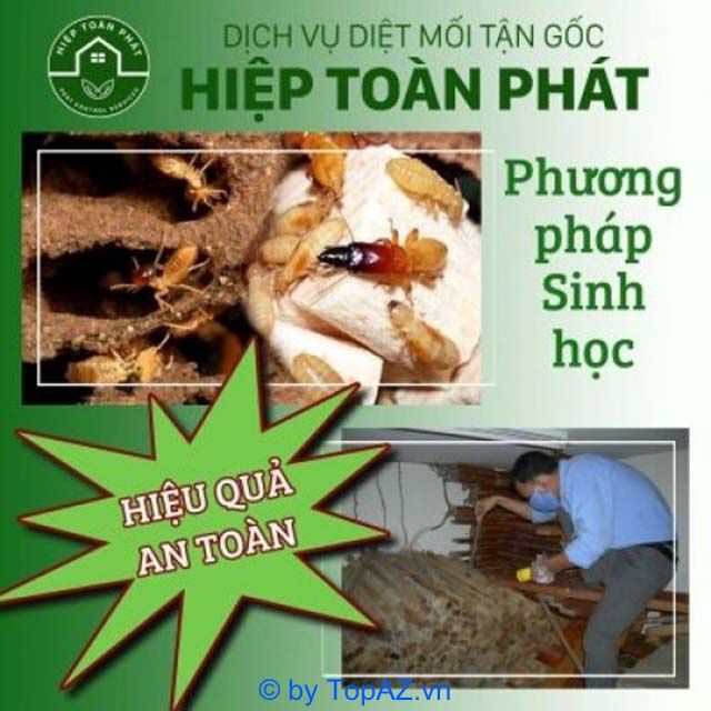 Dịch vụ diệt mối chuyên nghiệp tại Gò Vấp - Giải pháp tối ưu cho mọi công trình