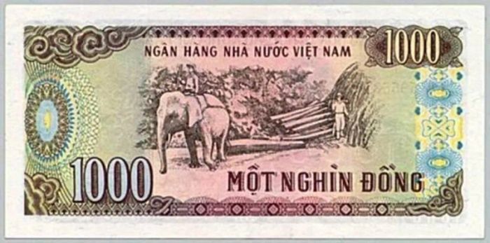 Hình ảnh thứ hai về cảnh khai thác gỗ Tây Nguyên trên tờ 1.000 đồng