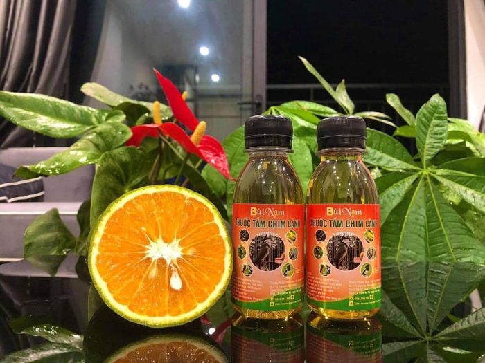 Bùi Nam - Thuốc Tắm Chim Cảnh hình ảnh 2