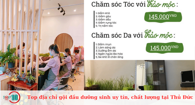Những địa điểm gội đầu dưỡng sinh đáng tin cậy và chất lượng bậc nhất tại Thủ Đức
