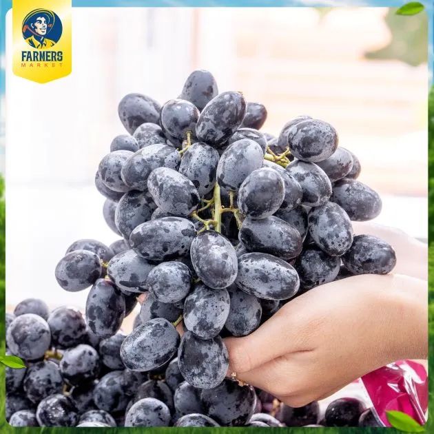 Farmers' Market - Địa chỉ vàng cho trái cây sạch và nhập khẩu tại Quận 7