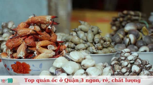 Ốc Ken - Không gian ốc đậm chất riêng