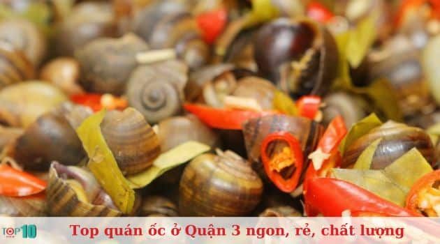 Ốc Hồng Ngọc - Thiên đường ốc đêm
