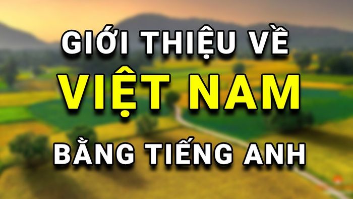 Ảnh minh họa (Nguồn internet) ảnh 1