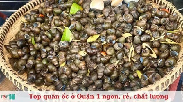 Ốc Trang - Tinh hoa ẩm thực đường phố