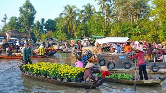 Hình ảnh minh họa số 2 - Khung cảnh chợ nổi miền Tây nhộn nhịp (Nguồn: Internet)
