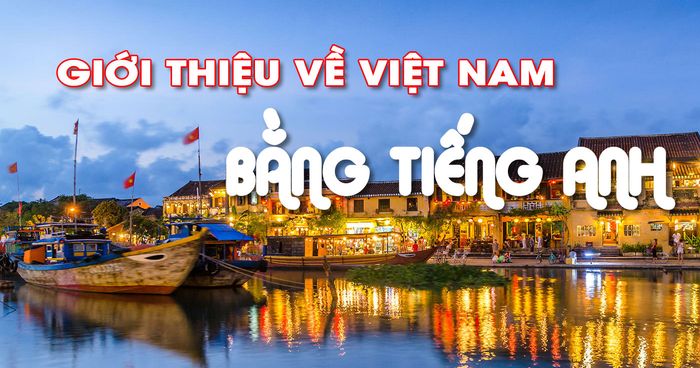 Ảnh minh họa (Nguồn internet) ảnh 1