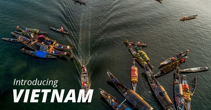 Ảnh minh họa (Nguồn internet) ảnh 1