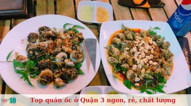Ốc 195 - Thiên đường ốc bình yên