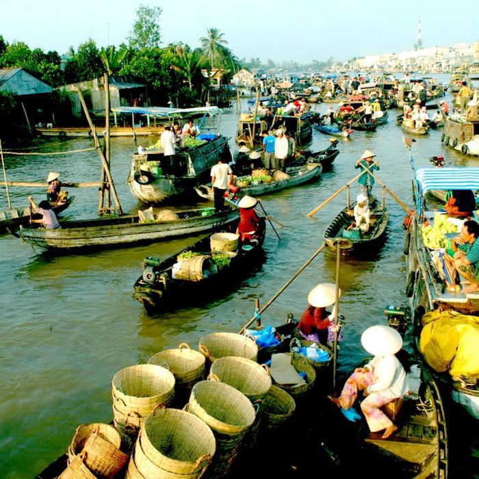 Hình ảnh 2: Góc nhìn chân thực về hoạt động buôn bán trên chợ nổi (Nguồn: Internet)
