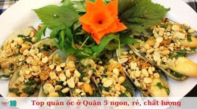Ốc Mèo - Thiên đường ốc cho giới trẻ