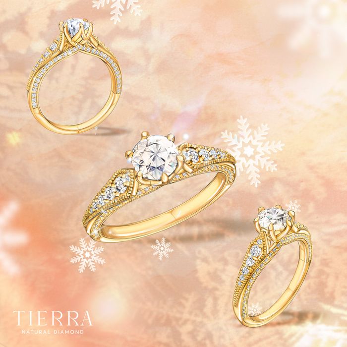Tierra Diamond - Kim cương Thiên nhiên hình ảnh 1