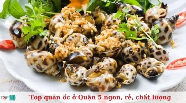 Ốc Bà Chủ - Địa chỉ lâu đời của tinh hoa ẩm thực ốc