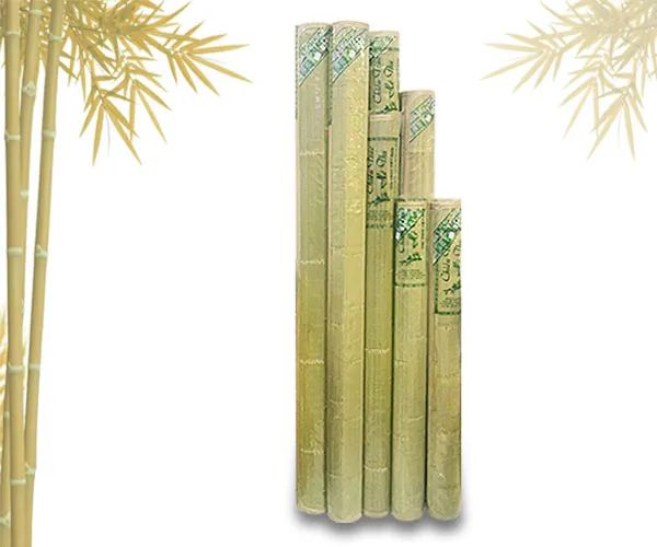 CHIẾU TRÚC CAO SƠN - Hình ảnh 2