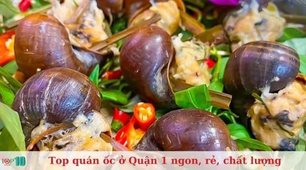 Cậu Ốc - Nét tinh hoa ẩm thực biển