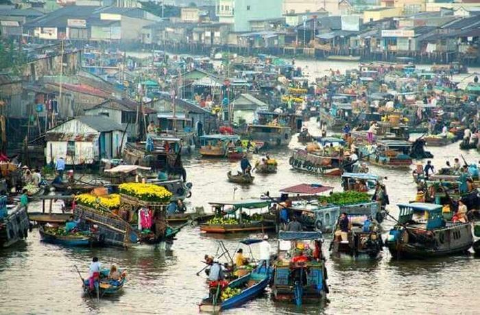 Hình ảnh minh họa chân thực (Nguồn: Internet)