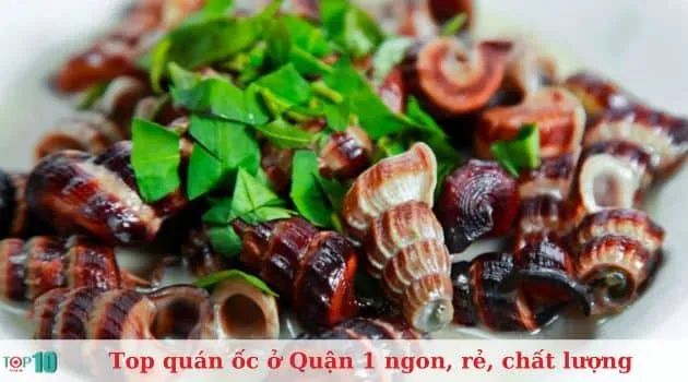 Sáu Ốc - Tinh hoa ẩm thực biển đêm
