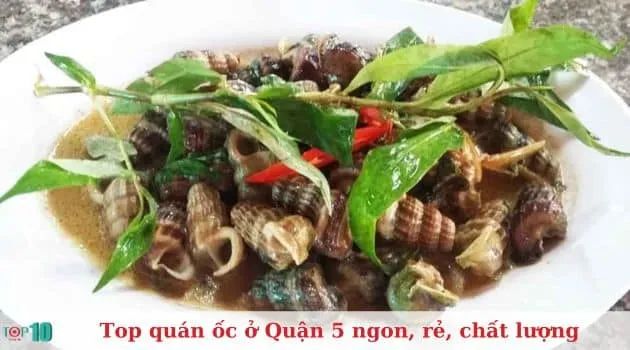 Ốc Hẻm - Điểm đến lý tưởng cho tín đồ ốc