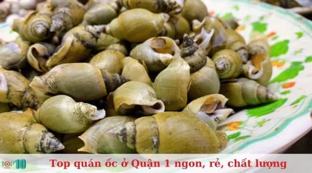 Ốc Cúc - Đặc sản biển tinh túy