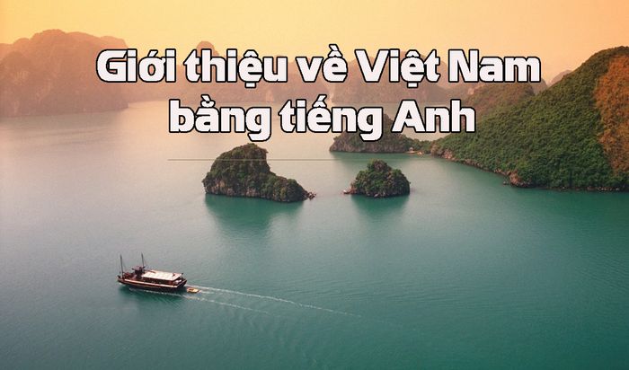 Ảnh minh họa (Nguồn internet) ảnh 1